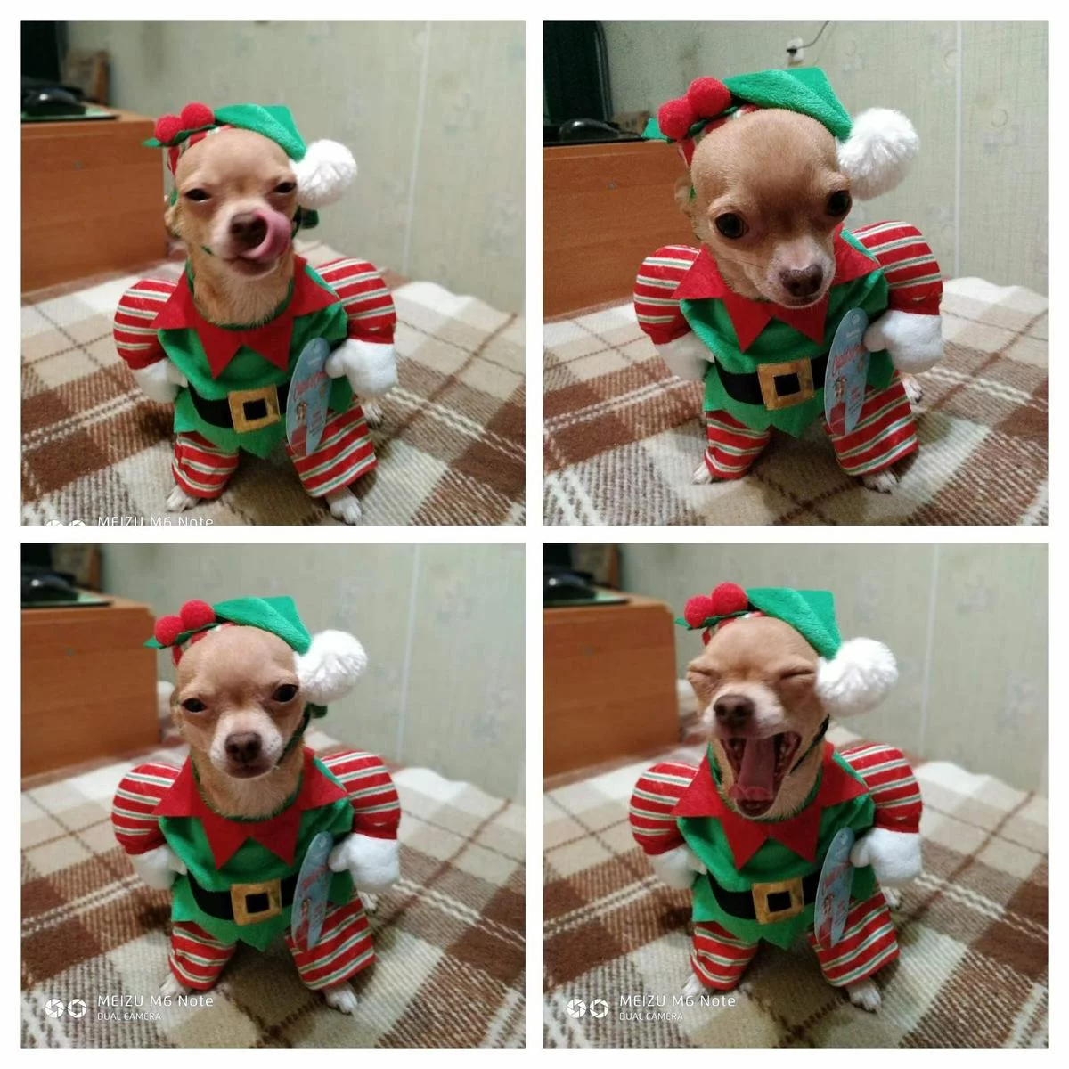 attachment.webp
