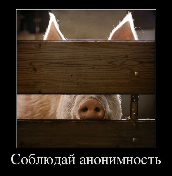 attachment.webp