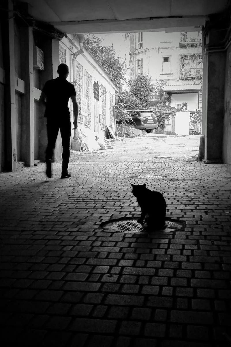attachment.webp