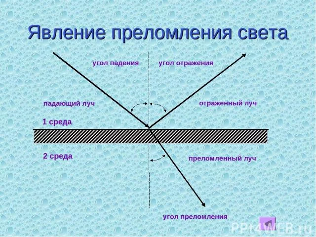 attachment.webp