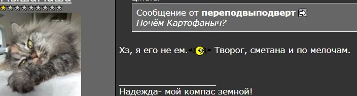 attachment.webp