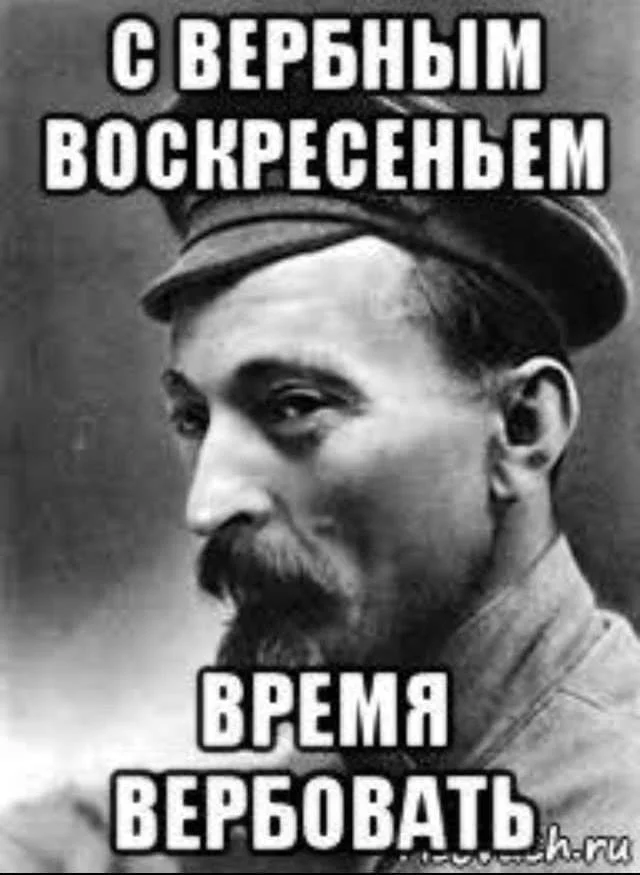 attachment.webp
