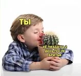 attachment.webp