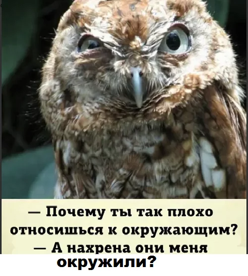 attachment.webp