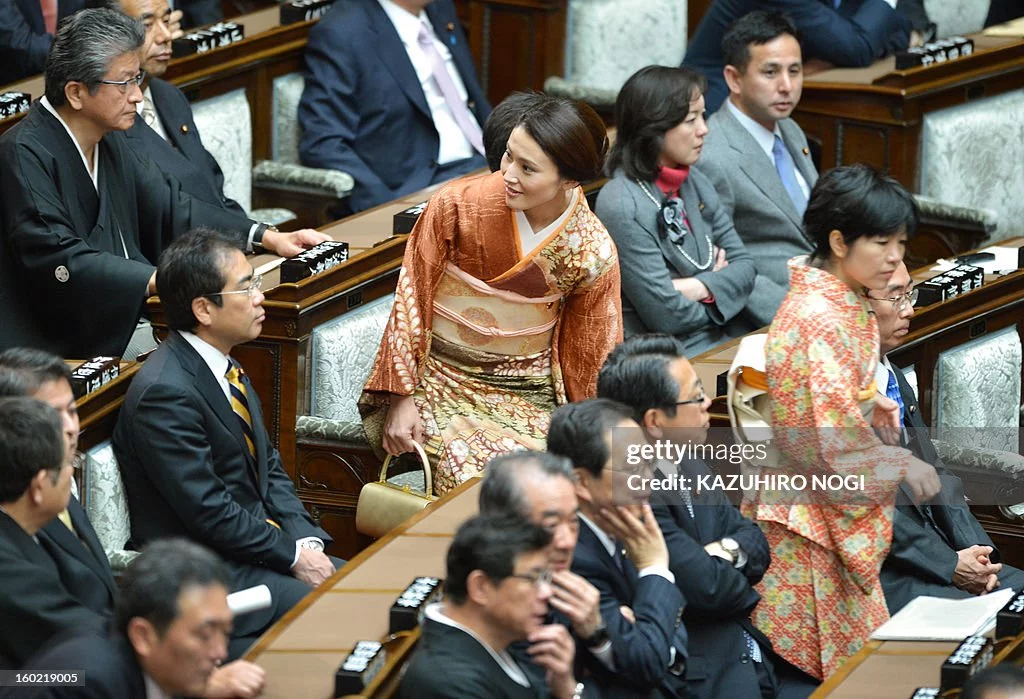 attend-the-lower-house-plenary-picture-id160219005.webp