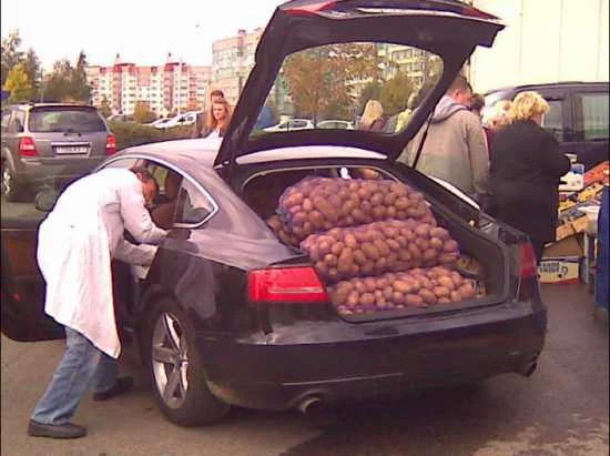 Audi-i-kartoshka.webp