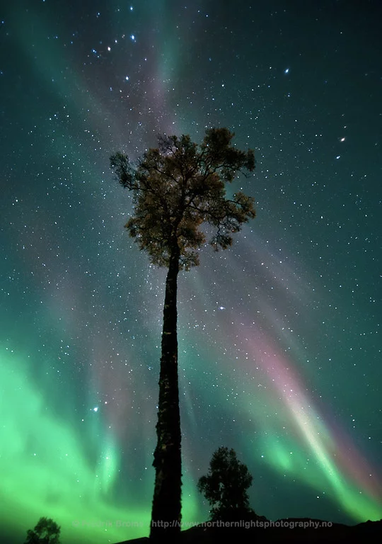 aurora2012sep20v2XLbroms.webp