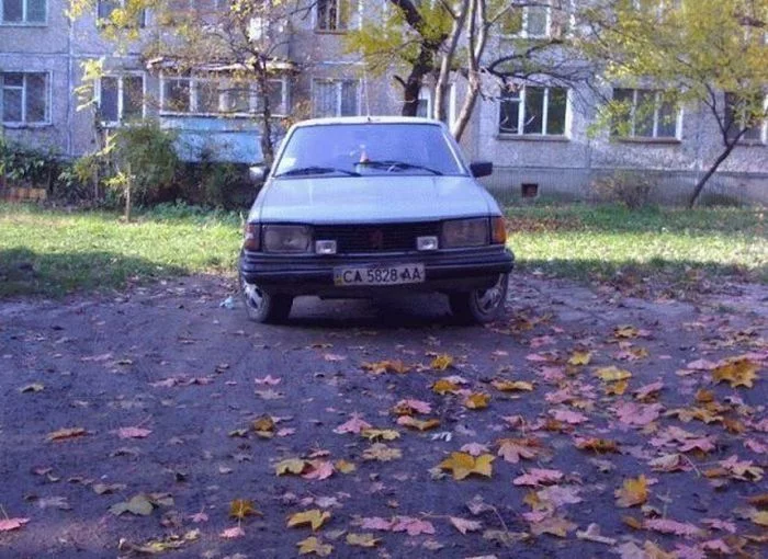 auto-041.webp