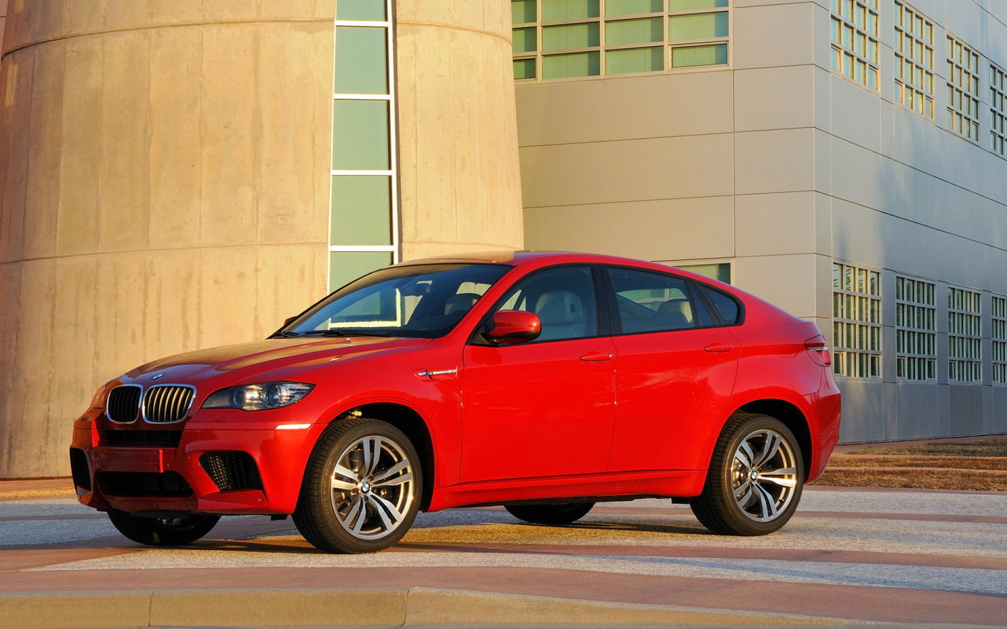 Auto_BMW_Others_BMW_BMW_X6_M_beside_plant_020493_.jpg