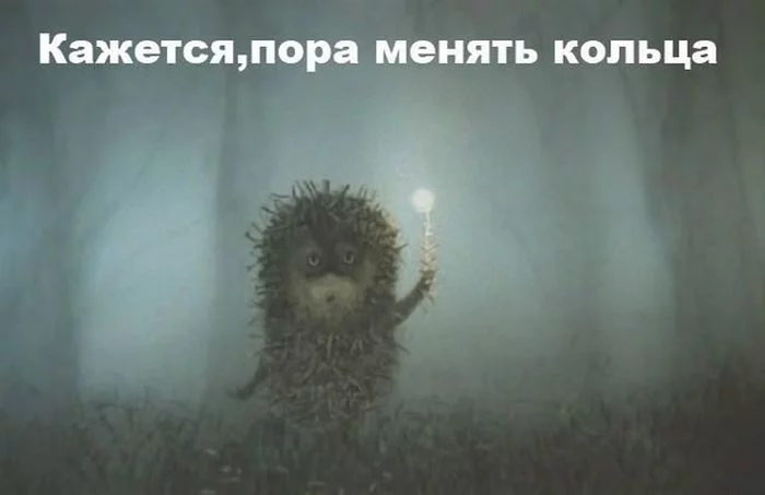 auto_prikoli_38.webp