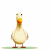 avatars-ducks-214204.gif