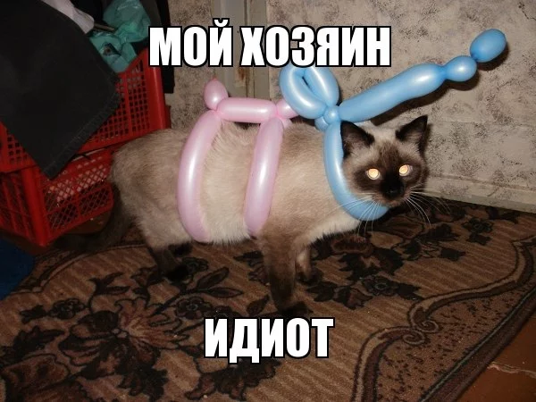 AvxN0EOxC78.webp
