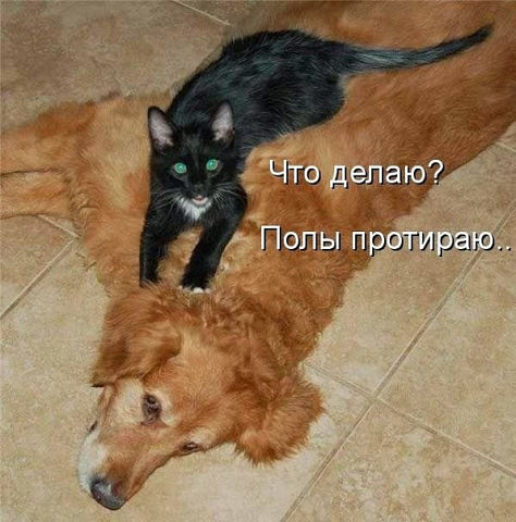 aw3JSfN9gU0.jpg