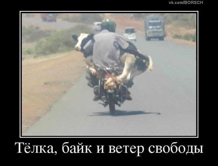 aw7GfHqL6Jw.webp