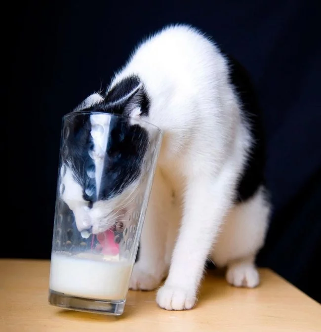 AWQLtWSxIM8.webp