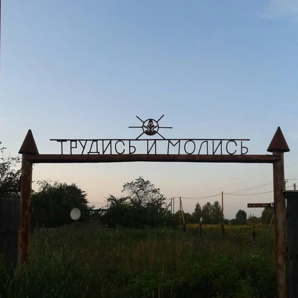 AyRg9UUKQIs.webp