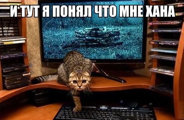 AzGIW23d7Hc.webp