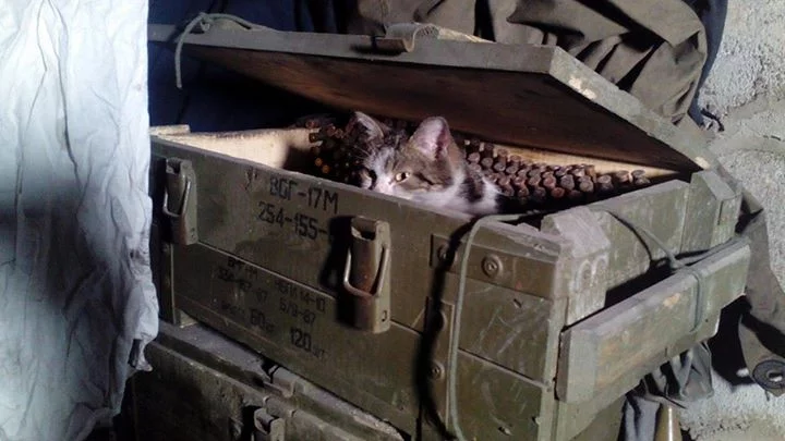 B-4DgSeUUAAjsZV.jpg