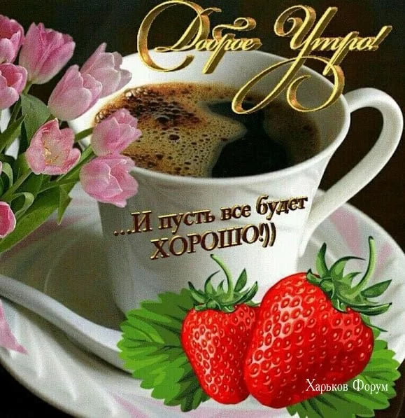 b013cbbc946a9bd7384.webp
