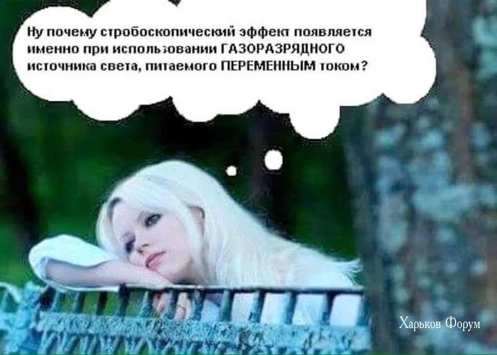 b01f7c770be516e275dc764.webp