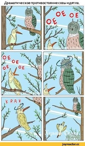 b024c4ea462b30d8bb8.jpg