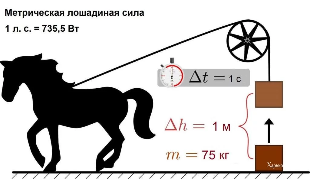 b044dd59454517d8d919.webp