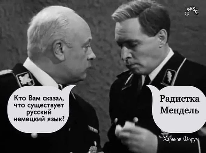 b0487b2311c02a108.webp