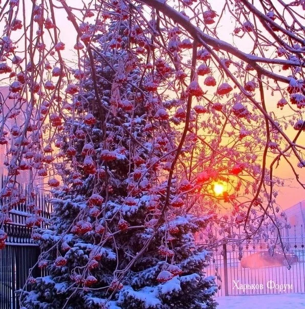 b05715054700c01eea.webp