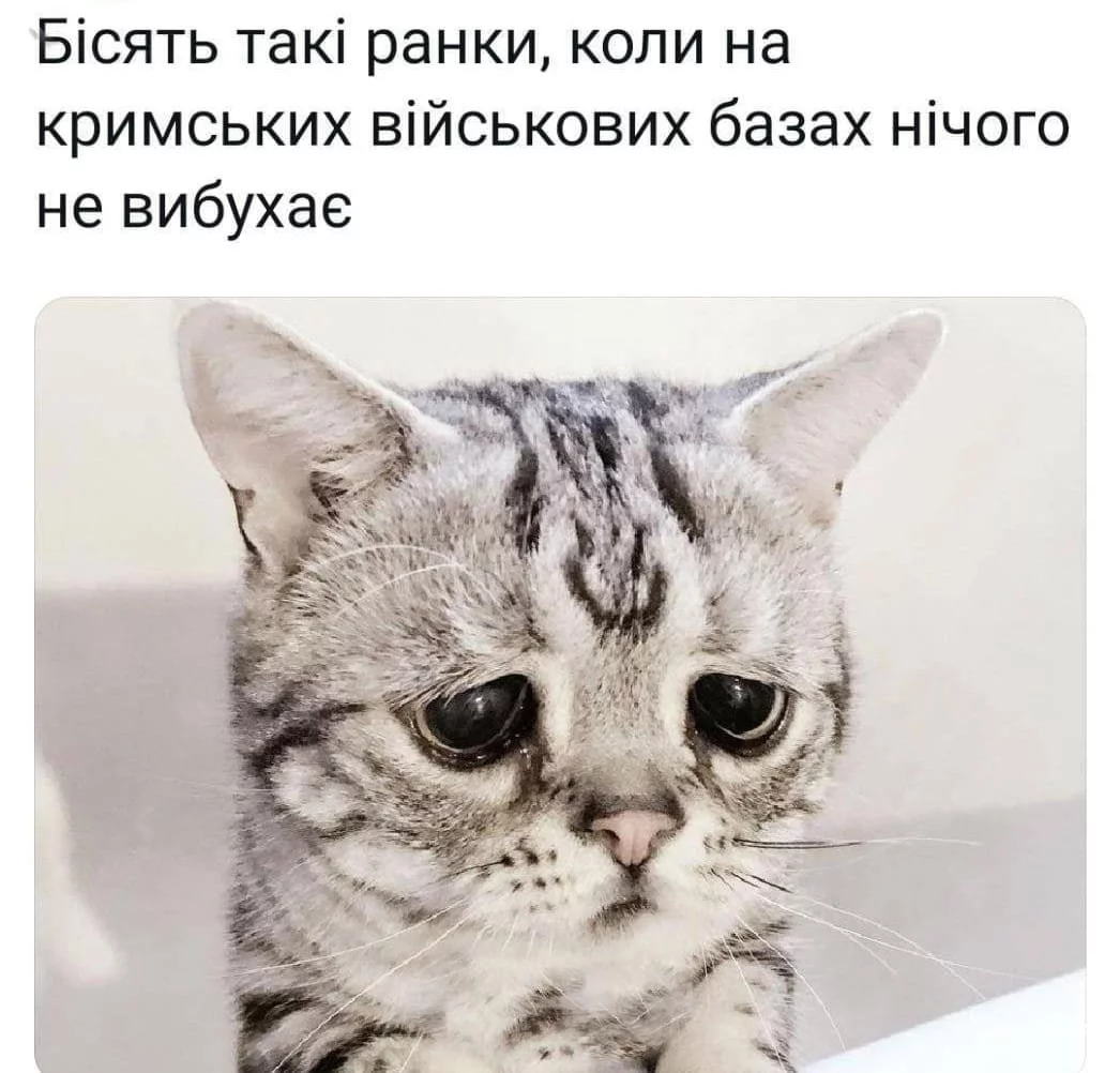 b070ab06431b20843664e014.webp