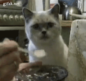 b085b3dac30d598ad.gif