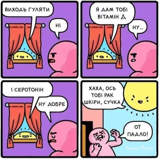 b08aeb52bae44b433583bdf7.webp