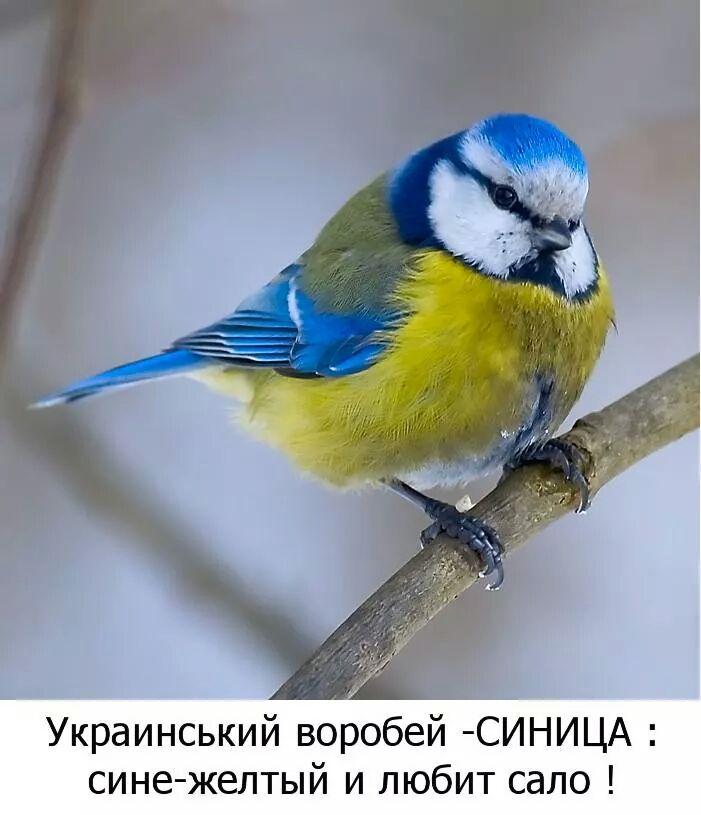 B08JSY2CUAAnqYF.jpg
