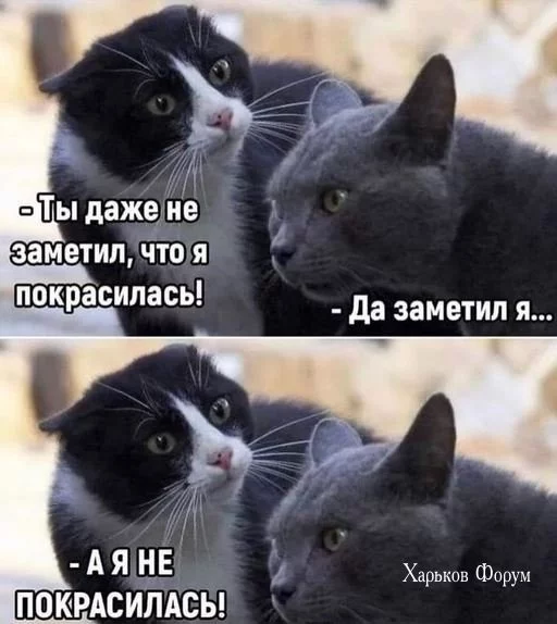 b0a7dfe8482a289d2ccde.webp