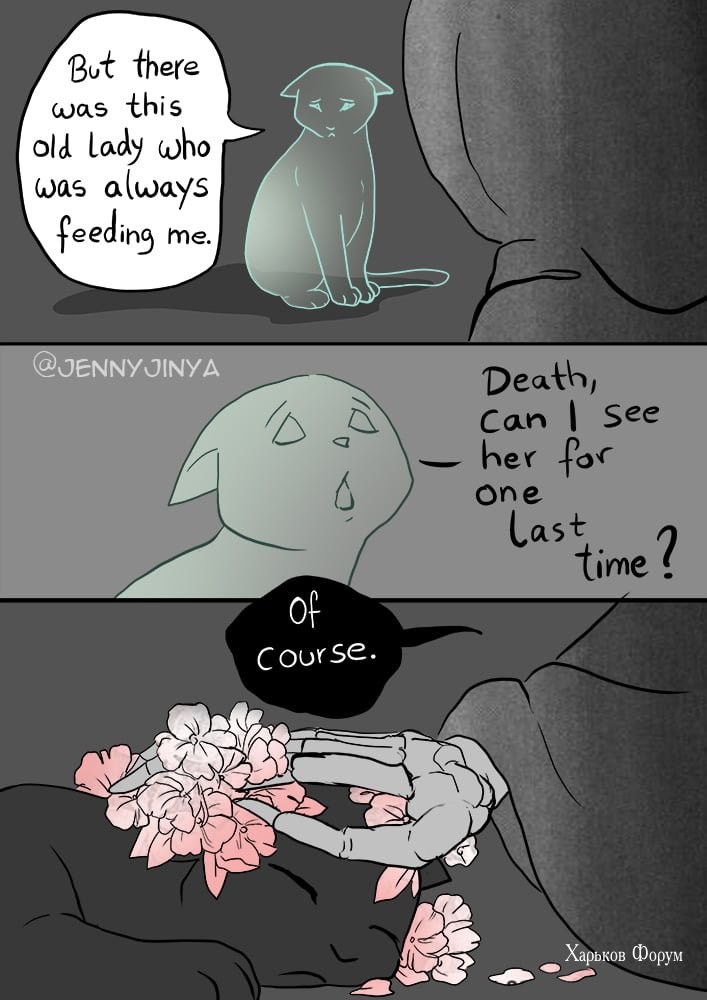 b0b843fa0afbc981e4f18c.jpg