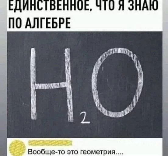 b0c8751ea661ab2e29f9a68.webp