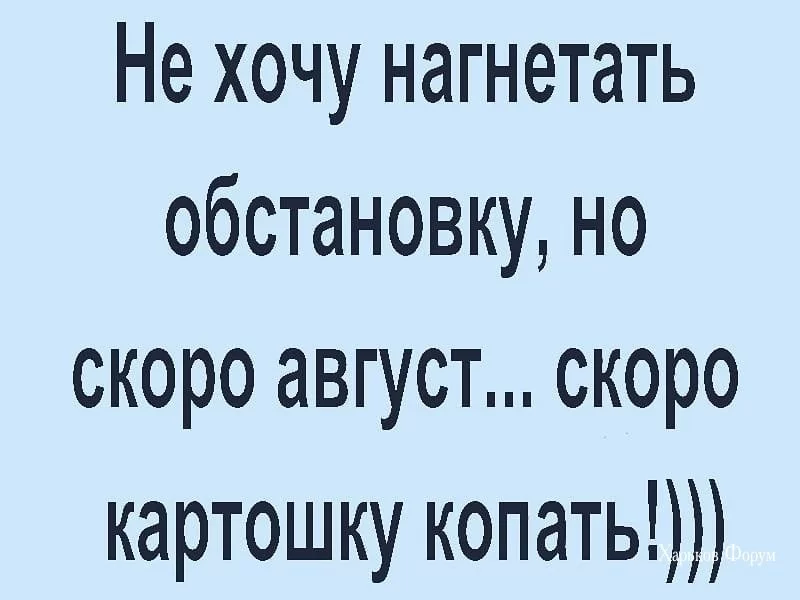 b0d37c87e7079bab5263.webp
