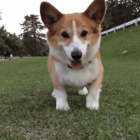 b0df59798b0bdbc069fad.gif