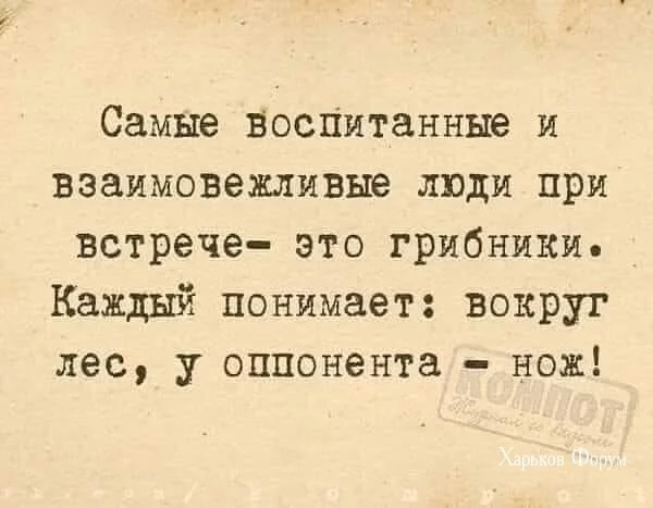 b0e6455995f8d03ac.webp