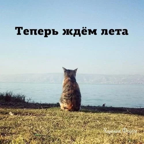 b1005194a7aabefb3cb.webp