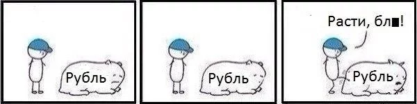 B11op0-CYAATnRM.webp