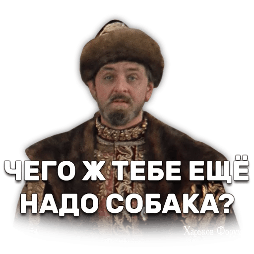 b1288eb6d6d2f5140417e.png