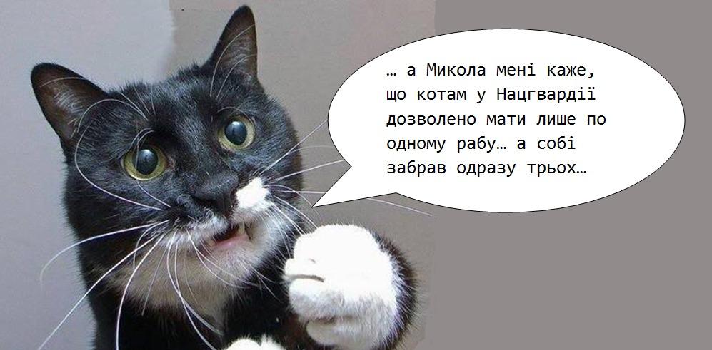 B13MaDkCAAAcUR1.jpg