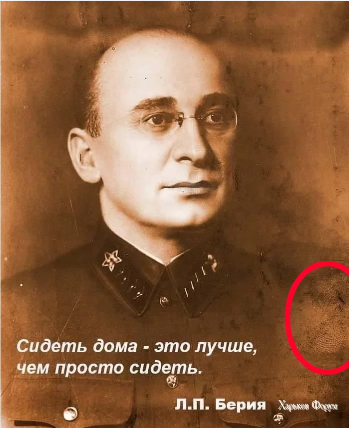 b14676b0e8b95e9d3069bdea.webp