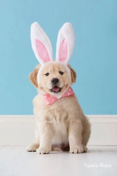 b14b34050f93b83741.webp