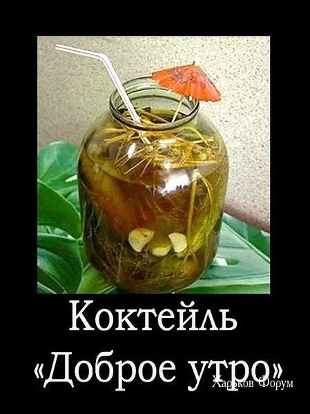 b14beb7a595cf2836.webp