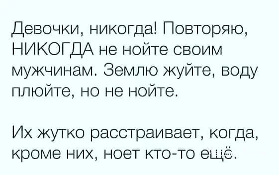 b1529abc8b707c99.webp