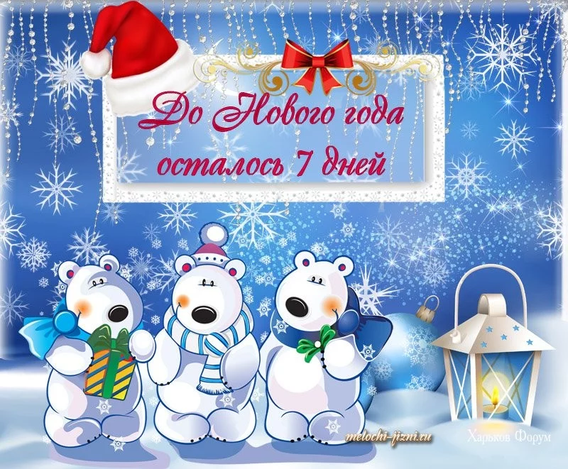 b15d32b2da0ec2b4bce43.webp