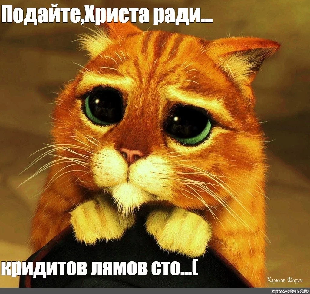 b1664ace000f3b49a5596.webp