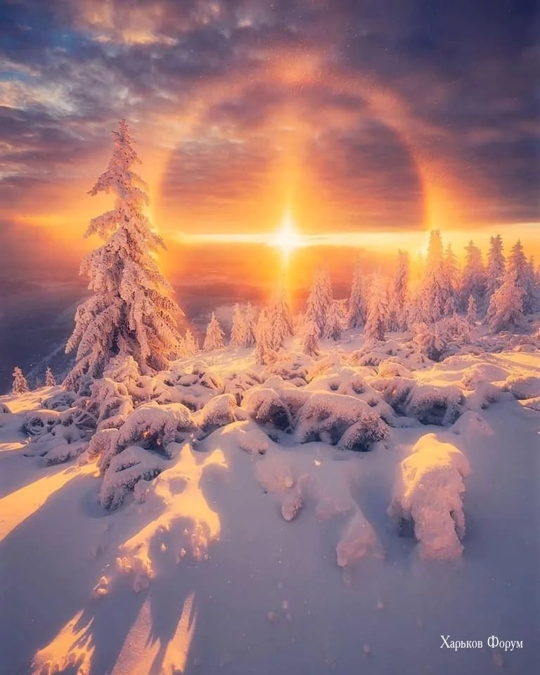 b17242f073f64f10ad32d1.webp