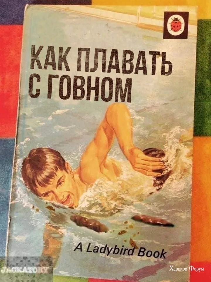 b1819264c266cc334b01ca.webp